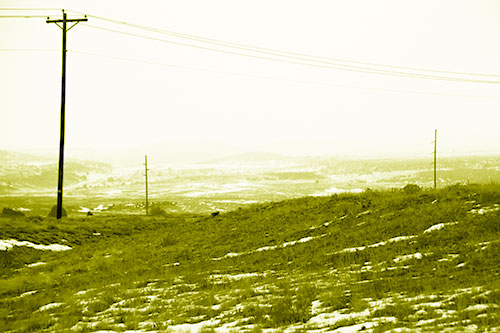 Winter Snowstorm Approaching Powerlines (Yellow Shade Photo)