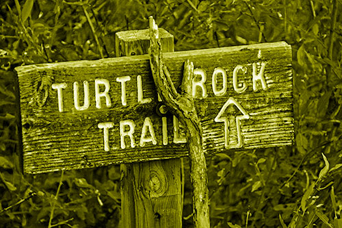 Wooden Turtle Rock Trail Sign (Yellow Shade Photo)