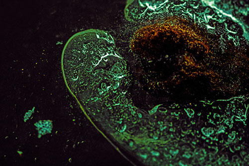 Angry Eyebrow Raised Ice Bubble Creature Bending Beside Mossy Rock (Yellow Tint)