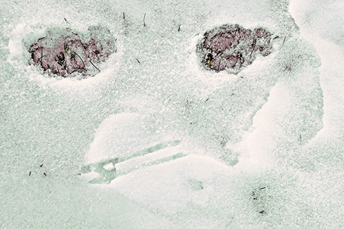 Beak Mouthed Footprint Face Among Snow (Yellow Tint)