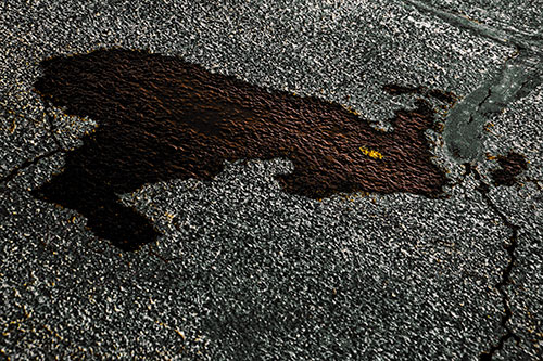 Bunny Rabbit Pavement Puddle Figure Formation (Yellow Tint)
