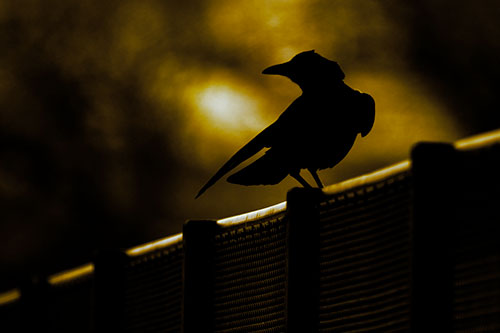 Crow Silhouette Atop Guardrail (Yellow Tint Photo)