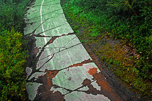 Curving Muddy Concrete Cracked Sidewalk (Yellow Tint Photo)