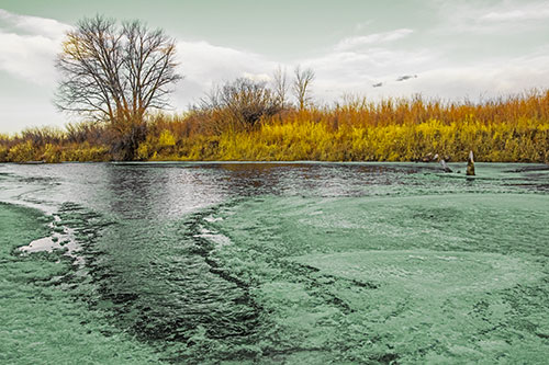 Dead Trees Surround Ice Melting River (Yellow Tint)
