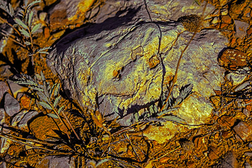 Demonic Leaf Mouthed Rock Face Snarling Among Dirt (Yellow Tint)