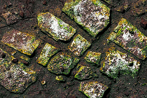 Dirt Covered Stepping Stones (Yellow Tint Photo)