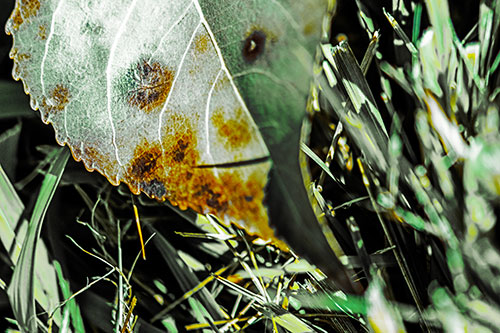 Eye Winking Shadow Smirking Leaf Face (Yellow Tint)