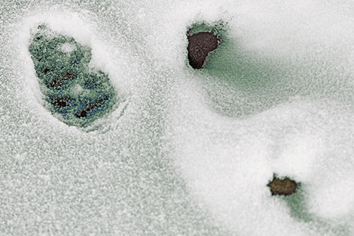 Footprint Eye Snow Face Atop Rock Surface (Yellow Tint)