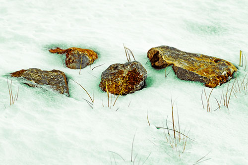 Four Big Rocks Buried In Snow (Yellow Tint Photo)
