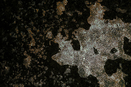 Furious Screaming Ice Face Melting Among Pavement (Yellow Tint)