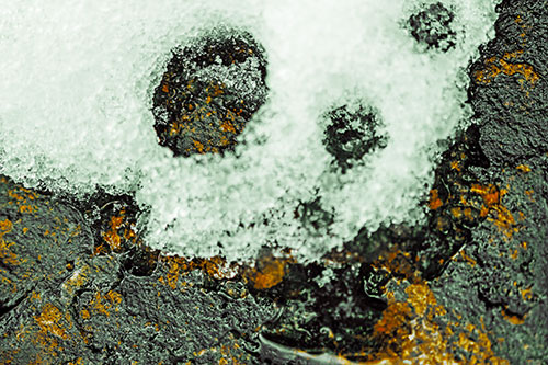 Ice Skull Snow Face Melting Atop Rock (Yellow Tint Photo)