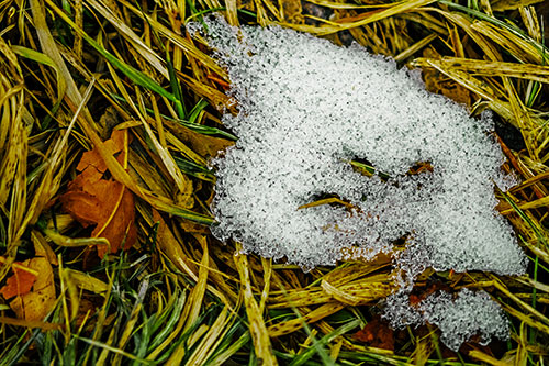 Miserable Slanted Grass Eyed Snow Face (Yellow Tint)
