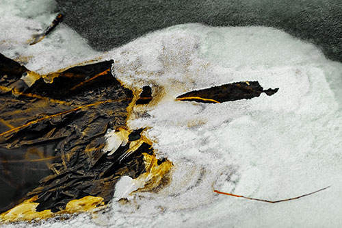 Mouth Melting River Ice Face Among Floating Branches (Yellow Tint)