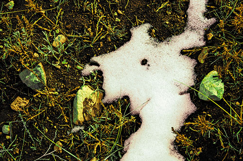 Peering Humanoid Snow Face Creature Among Rocks (Yellow Tint)
