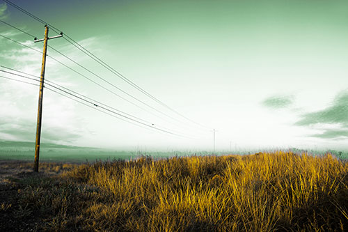 Powerlines Descend Among Foggy Prairie (Yellow Tint Photo)