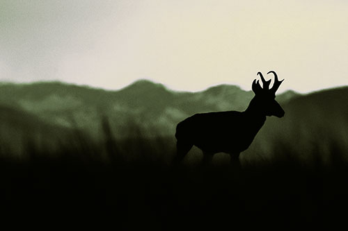 Pronghorn Silhouette Across Mountain Range (Yellow Tint)