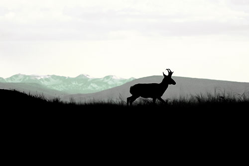 Pronghorn Silhouette On The Prowl (Yellow Tint)