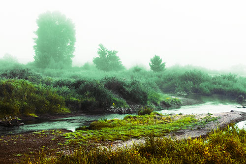 River Flowing Along Foggy Vegetation (Yellow Tint Photo)