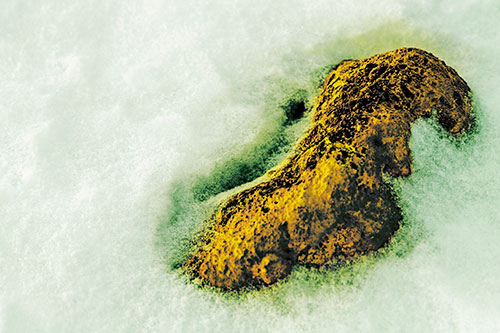 Rock Emerging From Melting Snow (Yellow Tint Photo)