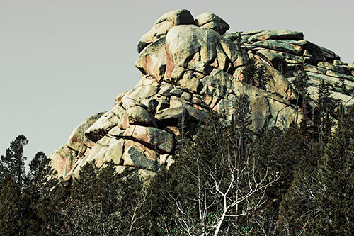 Rock Formations Rising Above Treeline (Yellow Tint Photo)