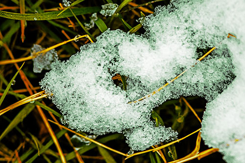 Sad Melting Grass Tangled Snow Face (Yellow Tint)