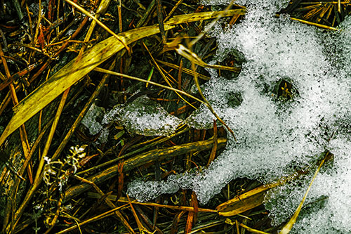 Sad Mouth Melting Ice Face Creature Among Soggy Grass (Yellow Tint Photo)