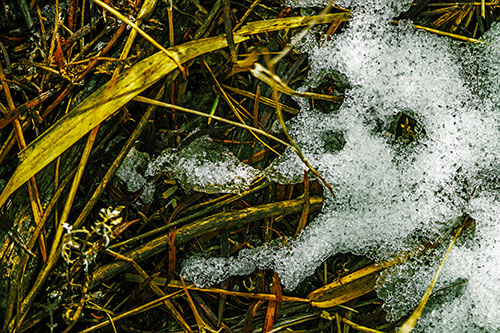 Sad Mouth Melting Ice Face Creature Among Soggy Grass (Yellow Tint)