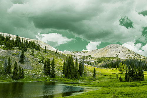 Scattered Trees Along Mountainside (Yellow Tint Photo)