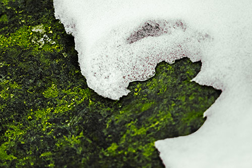 Screaming Snow Face Slowly Melting Atop Rock Surface (Yellow Tint Photo)