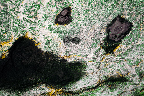 Shocked Puddle Face Drying Among Rock Surface (Yellow Tint)
