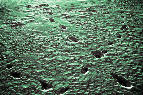 Snow Footprint Trails Crossing Paths (Yellow Tint Photo)