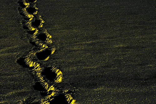 Snow Footprints Across Frozen Lake (Yellow Tint Photo)