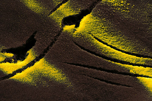 Snowy Bird Footprint Claw Marks (Yellow Tint Photo)