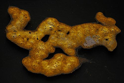 Sorrow Morphing Bubble Face Floating Above Soil (Yellow Tint)