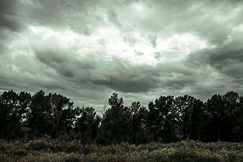 Thunderstorm Clouds Brewing Above Tree Line (Yellow Tint)