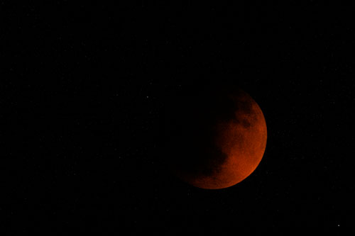 Total Lunar Eclipse Moon (Yellow Tint Photo)
