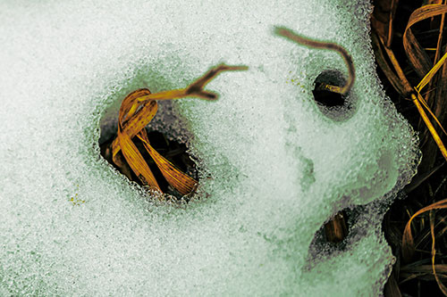 Twisting Grass Eyed Snow Face (Yellow Tint)