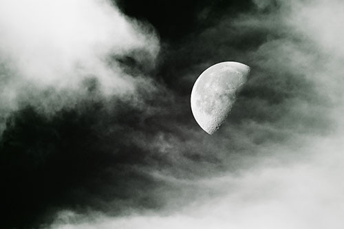 Upside Down Creature Cloud Moon Gazing (Yellow Tint Photo)