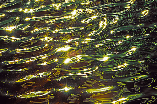 Water Ripples Sparkling Among Sunlight (Yellow Tint Photo)