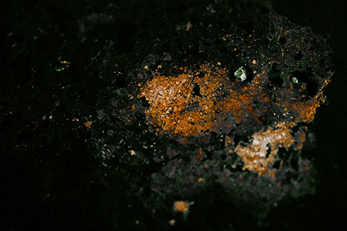 Wide Eyed Oil Demon Face Floating Atop Water (Yellow Tint)