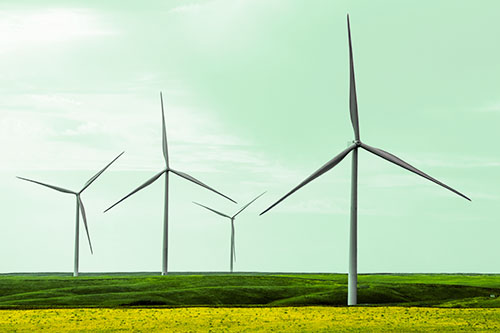 Wind Turbines Standing Tall Among Grassy Pasture (Yellow Tint)