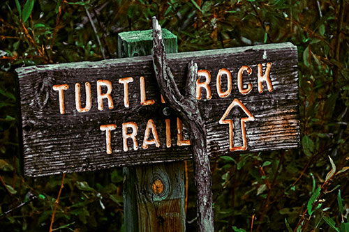 Wooden Turtle Rock Trail Sign (Yellow Tint Photo)