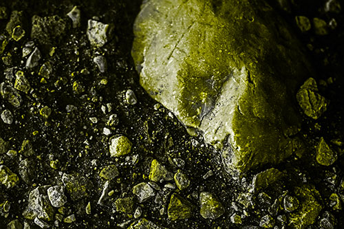 Alien Skull Rock Face Emerging Atop Dirt Surface (Yellow Tone Photo)