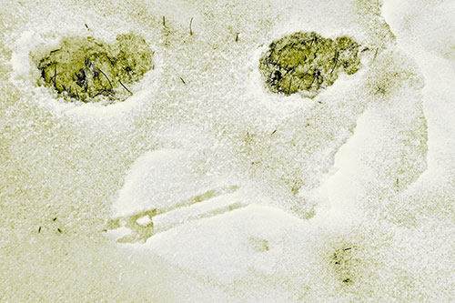 Beak Mouthed Footprint Face Among Snow (Yellow Tone)