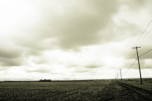 Bleak Clouded Sky Consumes Powerline Prairie (Yellow Tone Photo)