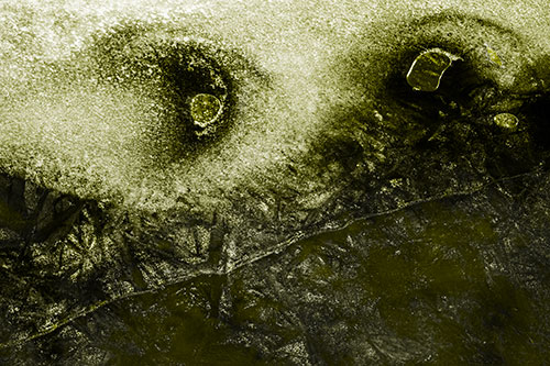 Bubble Eyed Smirk Cracking River Ice Face (Yellow Tone Photo)