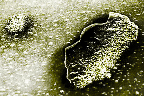 Bubble Head Face Peeking Through Ice (Yellow Tone Photo)