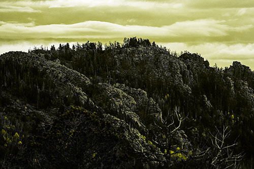 Cloudy Summit Trailhead Mountain Top (Yellow Tone Photo)