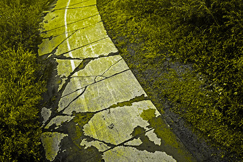 Curving Muddy Concrete Cracked Sidewalk (Yellow Tone Photo)