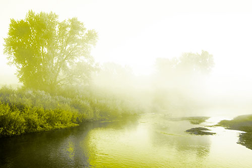 Dense Fog Blankets Distant River Bend (Yellow Tone Photo)
